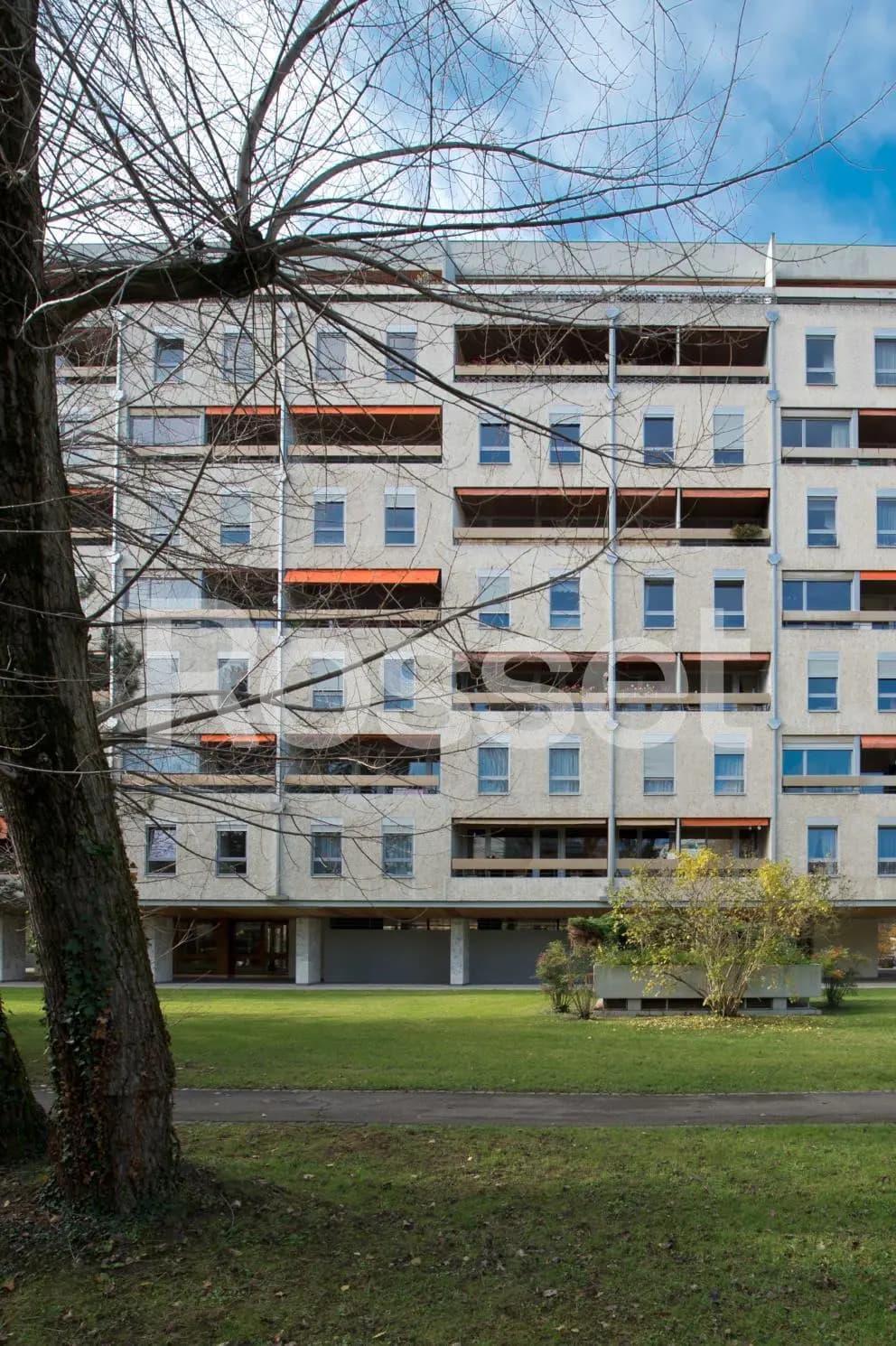 Chêne-Bougeries, Genève-ville (rive gauche), Avenue des Cavaliers 23 - Image 4