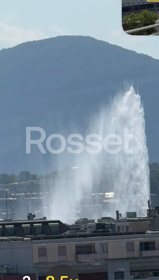 Genève, Genève centre, Chemin de la Voie-Creuse 3 C - Image 10