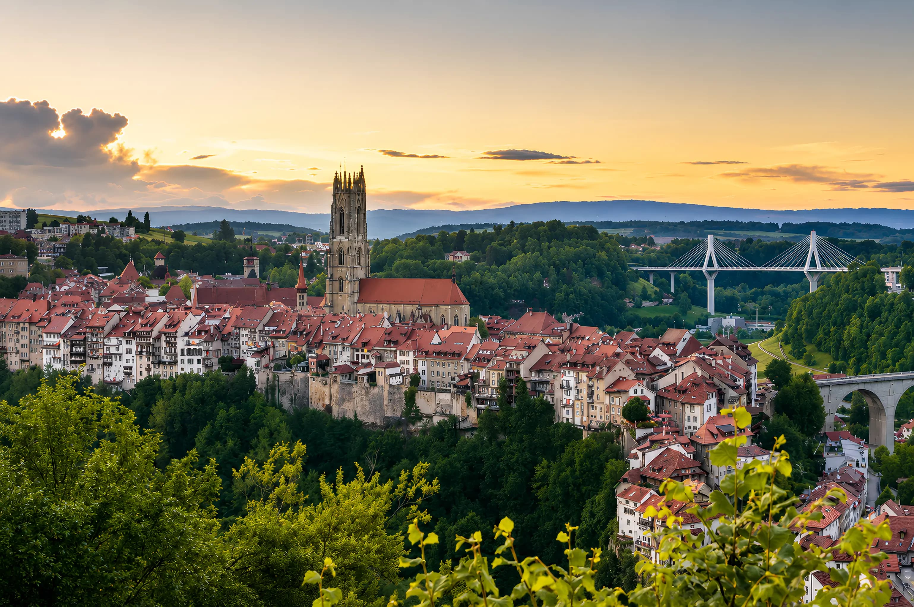 AGENCE FRIBOURG SPLIT1
