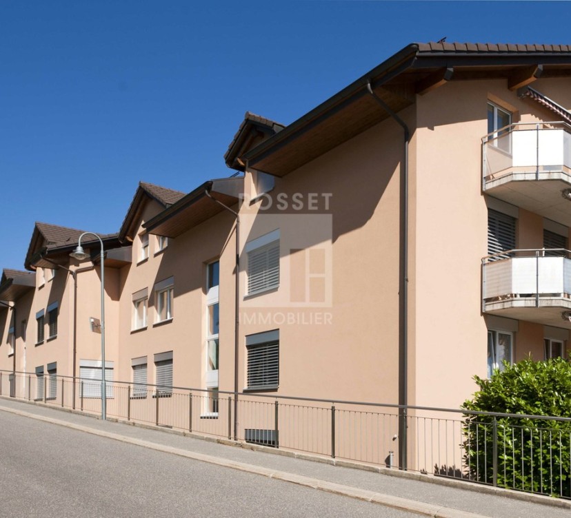 Spacieux appartement 3.5 pièces de 100m2 avec terrasse