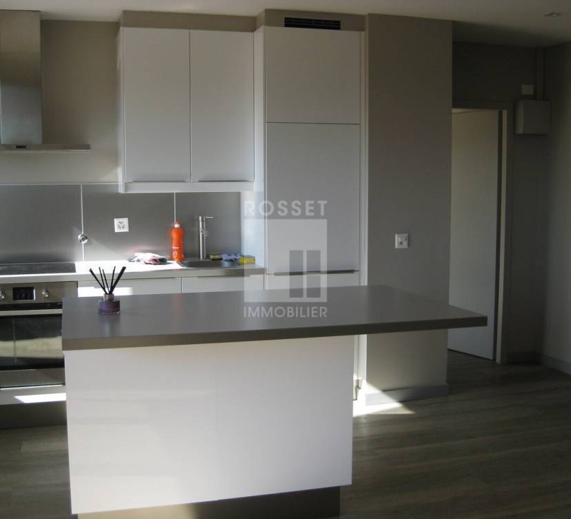 BEL APPARTEMENT DE 3 PIECES + BALCON