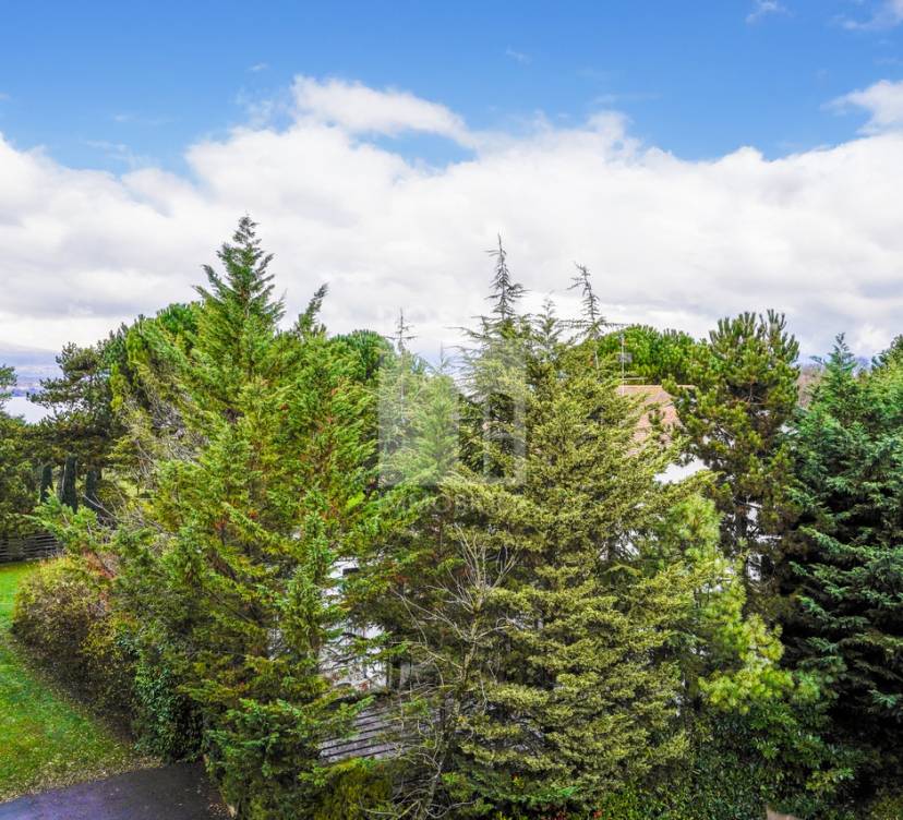 Bureuax d\'environ 128 m² au 2ème étageBureuax approx. 128 m² on 2nd floor