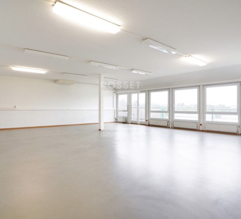 Locaux artisanaux d\'env.375 m² en attiqueApprox. 375 m² of attic space for craftsmen