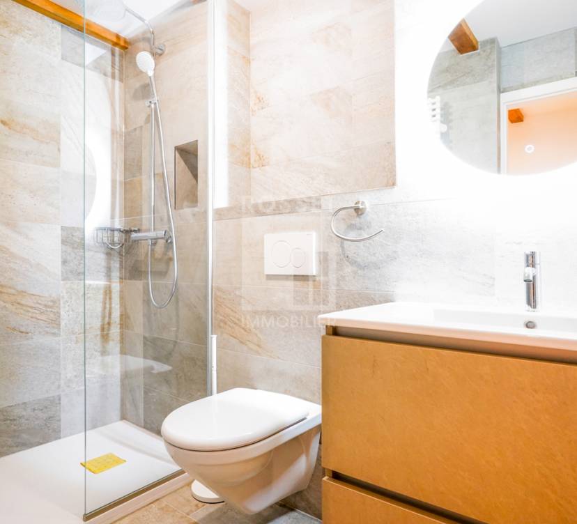 Maison mitoyenne de 8 pièces à louer à Plan-les-Ouates