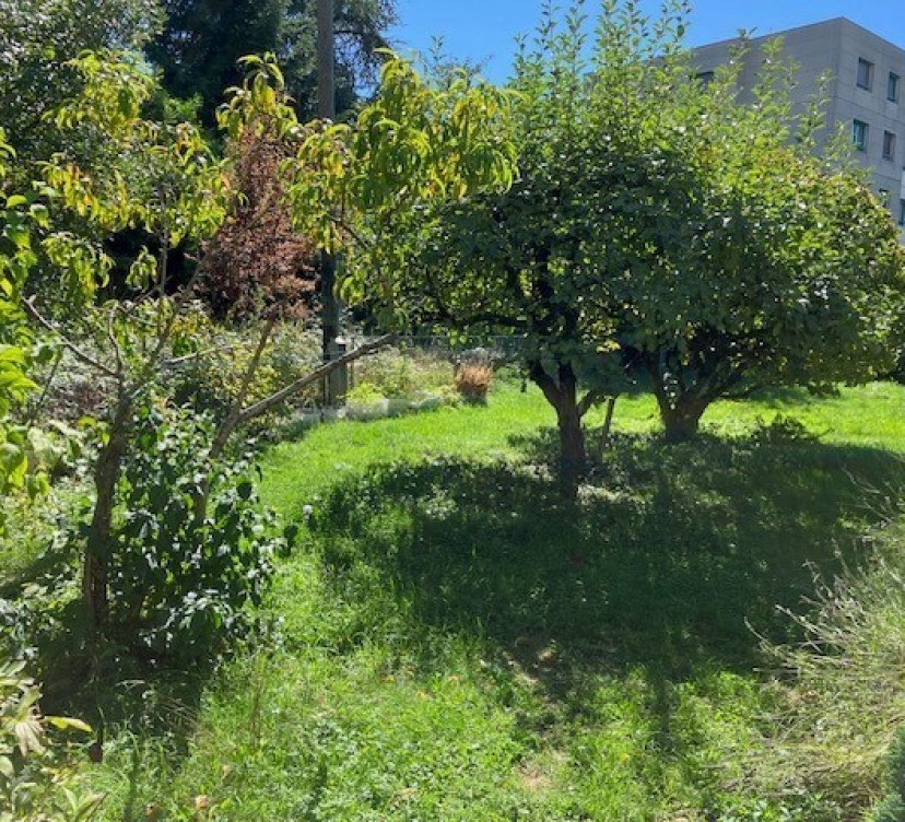 Villa de 6 pièces à louer au Grand-Saconnex