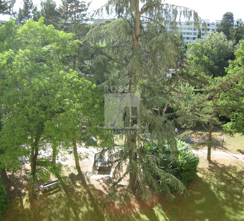 BEL APPARTEMENT DE 3 PIECES + BALCON