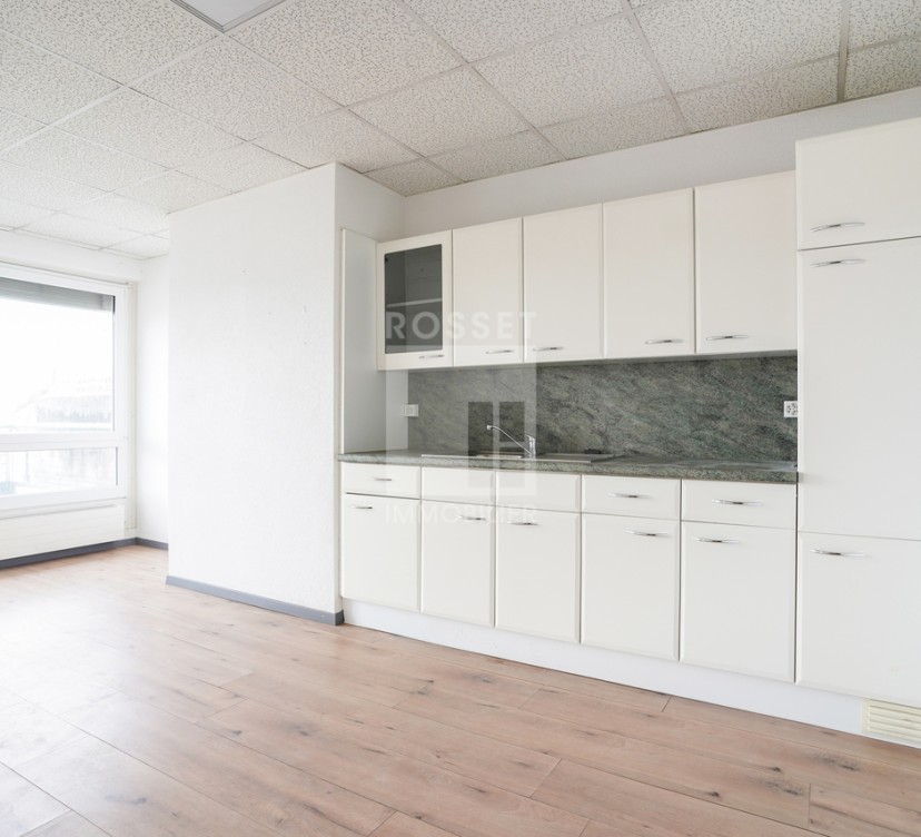 Locaux artisanaux d\'env.375 m² en attiqueApprox. 375 m² of attic space for craftsmen
