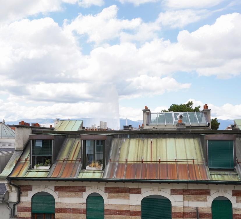 Rare à la location, magnifique appartement au coeur de la ville