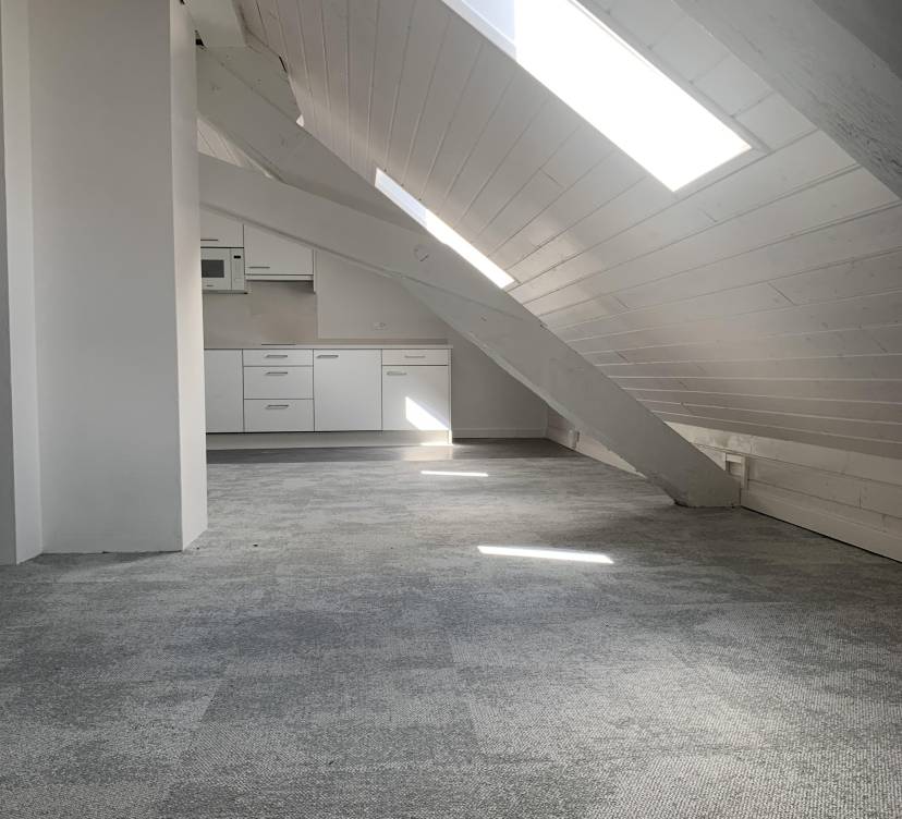 STUDIO DANS LES COMBLES