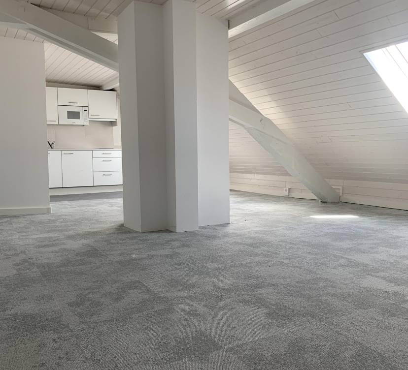 STUDIO DANS LES COMBLES