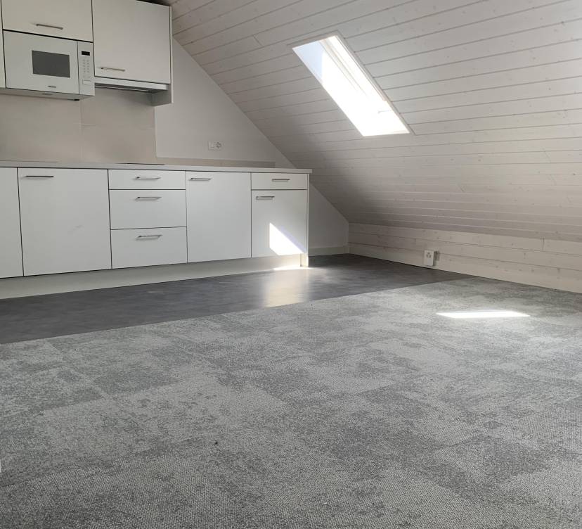 STUDIO DANS LES COMBLES