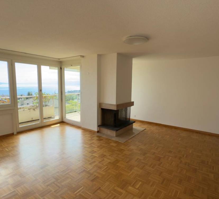 Superbe appartement de 4.5 pièces avec belle vue lac