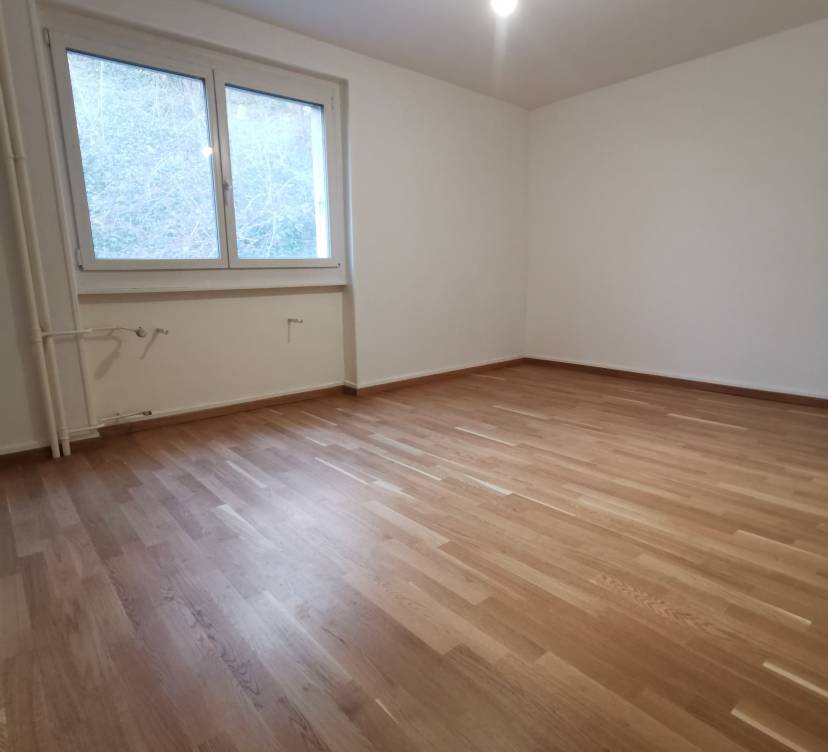 Appartement 3 pièces au rez