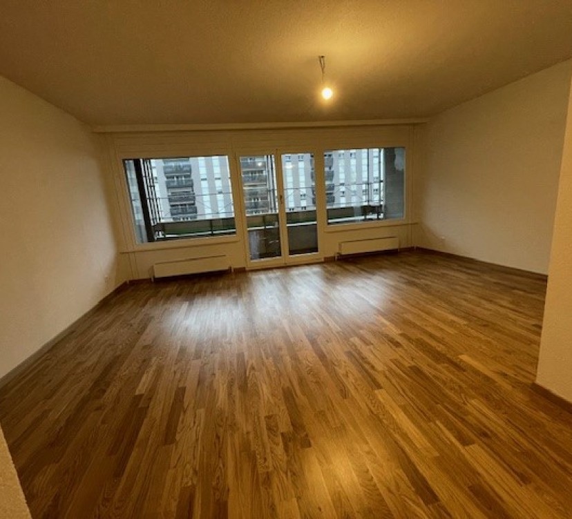 Ce bel appartement de 4,5 pièces, récemment rénové, offre des espaces généreux et lumineux dans un cadre à la fois moderne et chaleureux. Situé au 4e étage, il bénéficie d\'une belle vue dégagée ainsi que d\'un agencement fonctionnel, idéal pour une famille ou un couple à la recherche de confort et de tranquillité. 