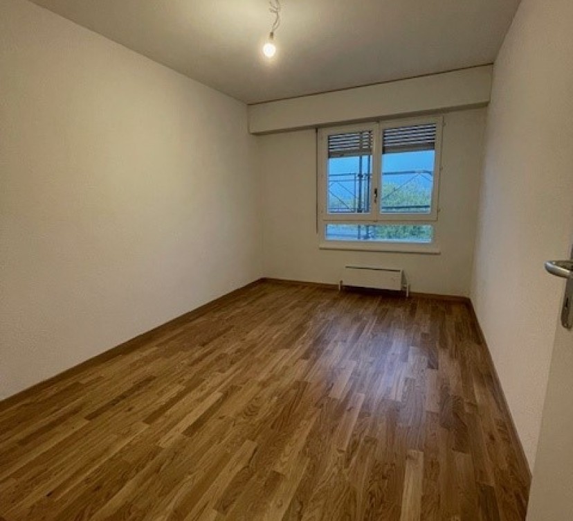 Ce bel appartement de 4,5 pièces, récemment rénové, offre des espaces généreux et lumineux dans un cadre à la fois moderne et chaleureux. Situé au 4e étage, il bénéficie d\'une belle vue dégagée ainsi que d\'un agencement fonctionnel, idéal pour une famille ou un couple à la recherche de confort et de tranquillité. 