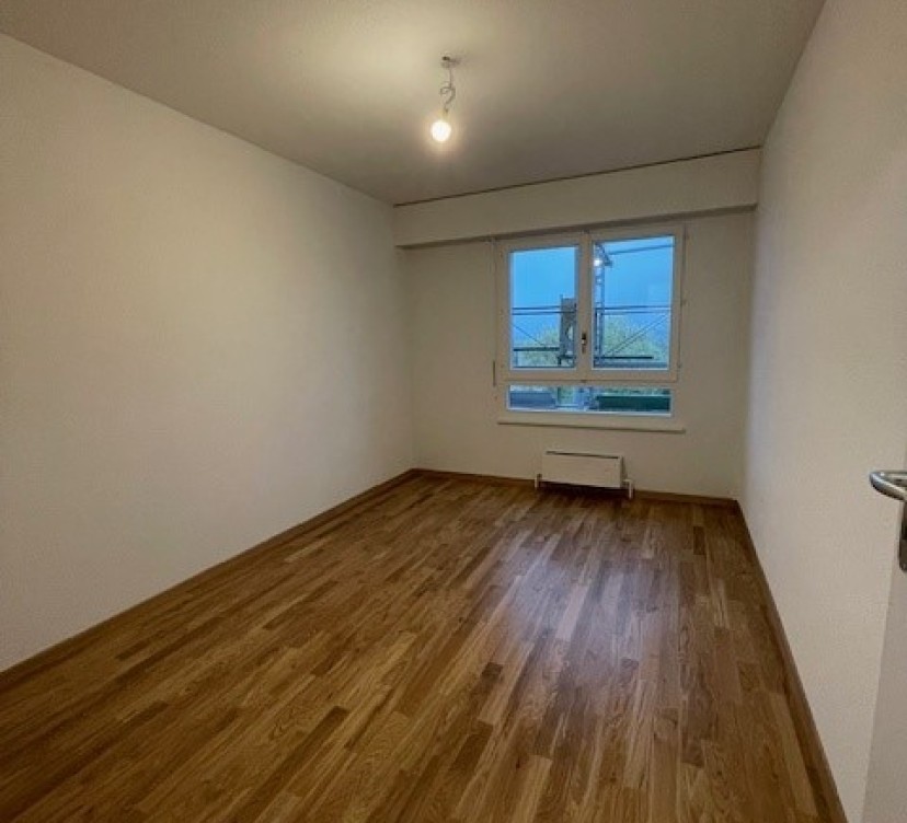 Ce bel appartement de 4,5 pièces, récemment rénové, offre des espaces généreux et lumineux dans un cadre à la fois moderne et chaleureux. Situé au 4e étage, il bénéficie d\'une belle vue dégagée ainsi que d\'un agencement fonctionnel, idéal pour une famille ou un couple à la recherche de confort et de tranquillité. 