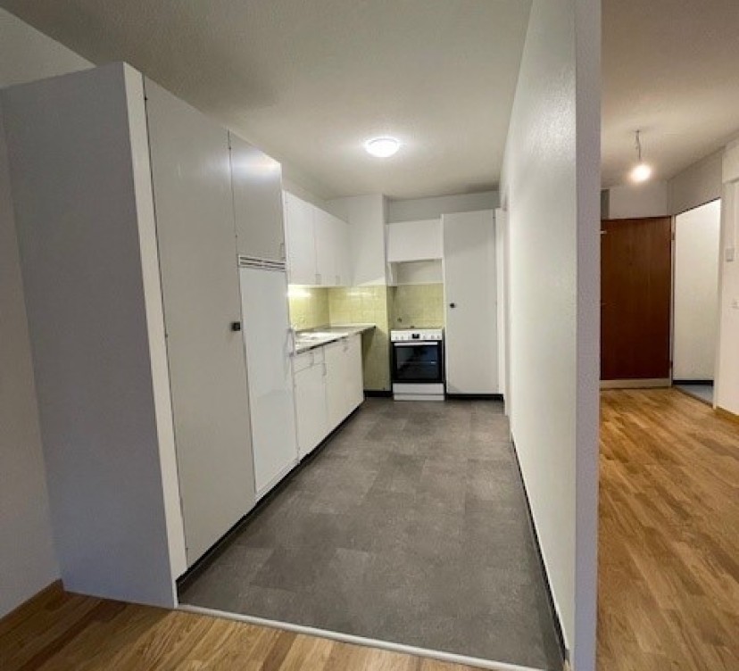 Ce bel appartement de 4,5 pièces, récemment rénové, offre des espaces généreux et lumineux dans un cadre à la fois moderne et chaleureux. Situé au 4e étage, il bénéficie d\'une belle vue dégagée ainsi que d\'un agencement fonctionnel, idéal pour une famille ou un couple à la recherche de confort et de tranquillité. 