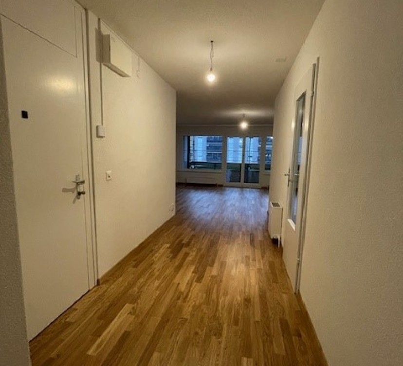 Ce bel appartement de 4,5 pièces, récemment rénové, offre des espaces généreux et lumineux dans un cadre à la fois moderne et chaleureux. Situé au 4e étage, il bénéficie d\'une belle vue dégagée ainsi que d\'un agencement fonctionnel, idéal pour une famille ou un couple à la recherche de confort et de tranquillité. 