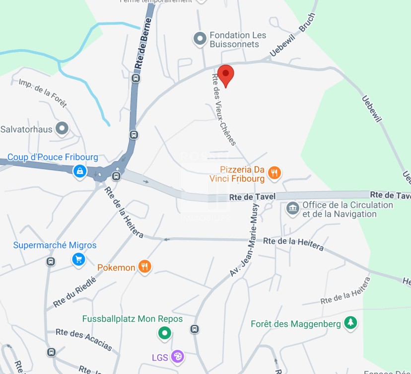 Spacieux appartement au rez-de-chaussée