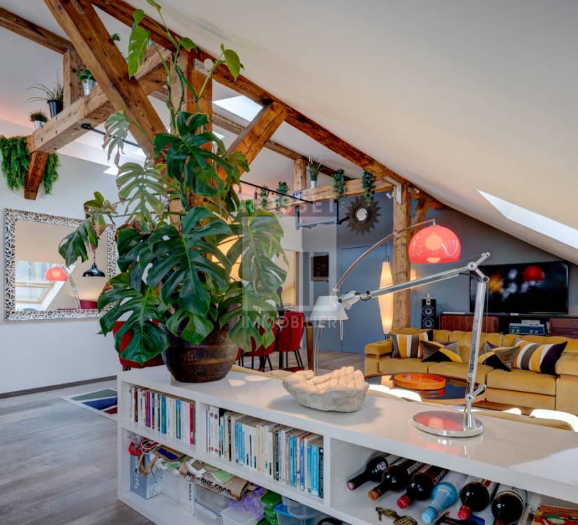 Appartement de caractère au cœur des Pâquis