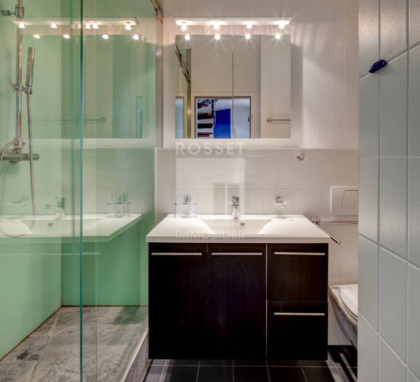 En Exclusivité : Duplex de 5 pièces au cœur de Plan-les-Ouates
