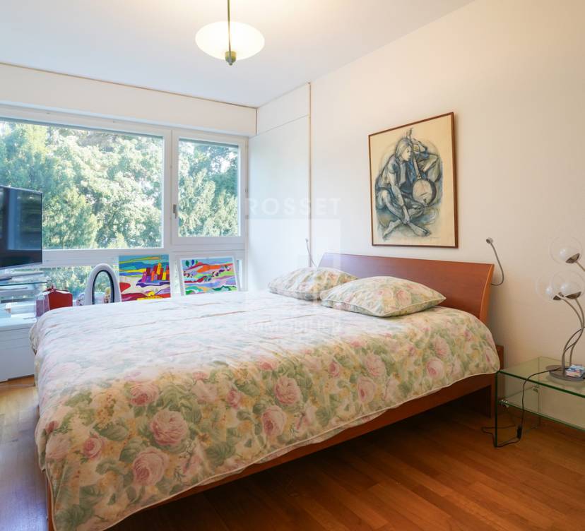 Bel appartement en plein cœur de Florissant Beautiful apartment in the heart of Florissant