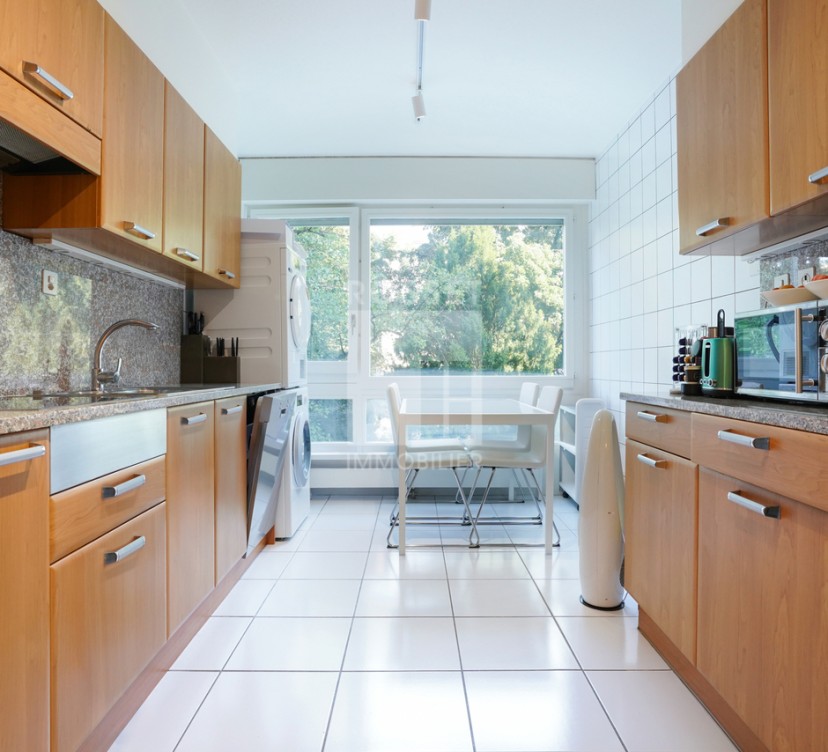 Bel Appartement en plein cœur de Florissant Beautiful apartment in the heart of Florissant